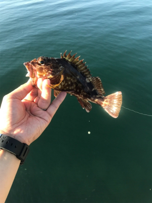 釣りガールへの道