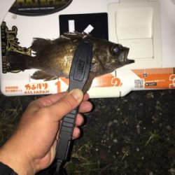 ラインブレーク