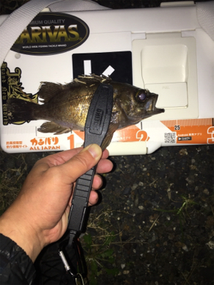 ラインブレーク