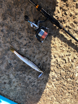 日中のライトゲーム