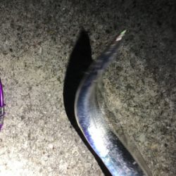 寒くなってきた！