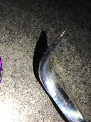 寒くなってきた！