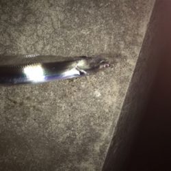 寒くなってきました‼︎