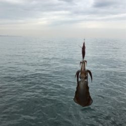 ランガンするも、、、