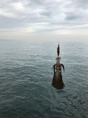 ランガンするも、、、