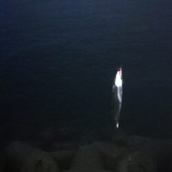 買ったばかりのジグ…