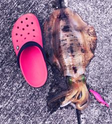 久々キロアップ