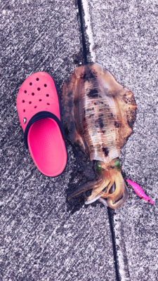 久々キロアップ