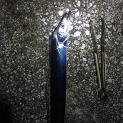 朝と夕方どっちもあかん