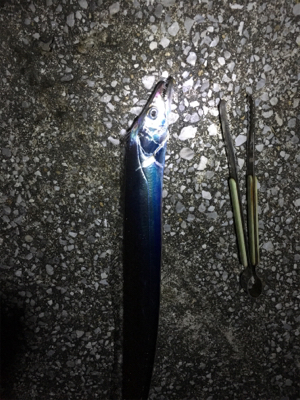 朝と夕方どっちもあかん