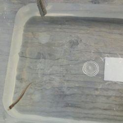 佐仲ダム　ワカサギ