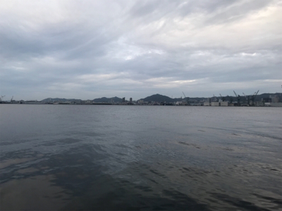 渋太刀からメジロバイバイ