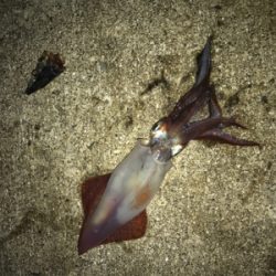 仕事帰りにちょっと