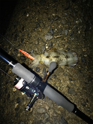 雨強く心折れました