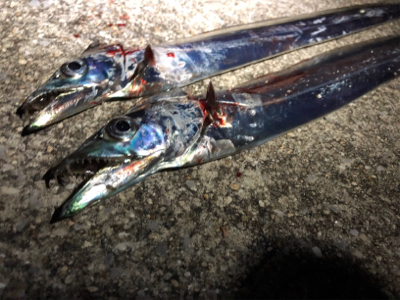 渋々タッチー？