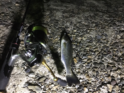 短時間ライトゲーム