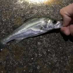 五目ライトゲーム