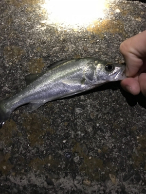 五目ライトゲーム