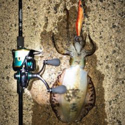 月がとっても丸いから〜