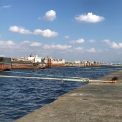 タチカッターにもめげずにFLAP