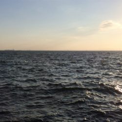 LSJigginger0700〜1000