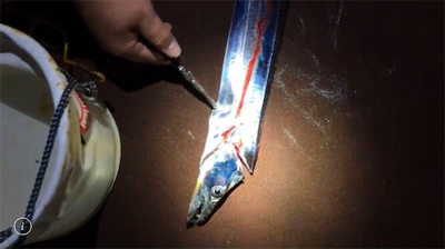 ドラゴンでたぁああ