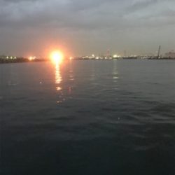 短時間釣行で。