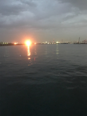 短時間釣行で。