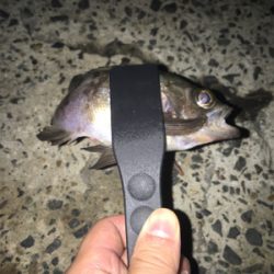 雨の日は橋の下で