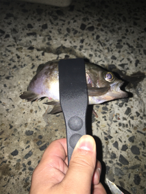 雨の日は橋の下で