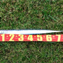 LSJigginger0658〜0735