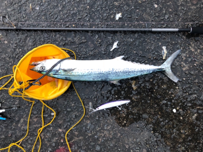 逆風に負けずに粘った甲斐がありました