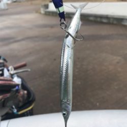 サゴッちゃんとサヨリちゃん