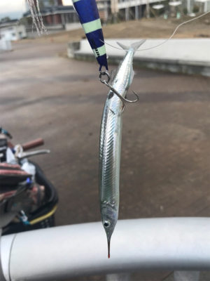 サゴッちゃんとサヨリちゃん