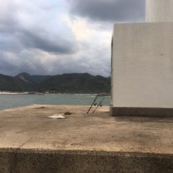 ショアジギングでシーバス