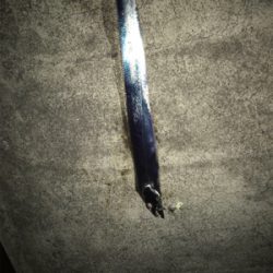 久しぶりに餌釣り  タッチポン