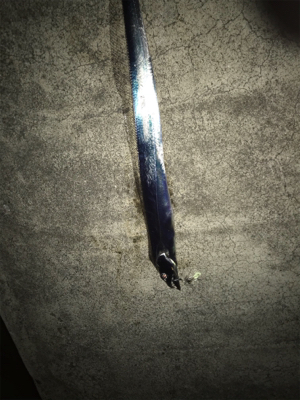 久しぶりに餌釣り  タッチポン