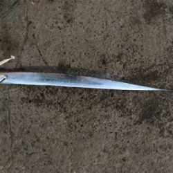 まだF2サイズが〜！