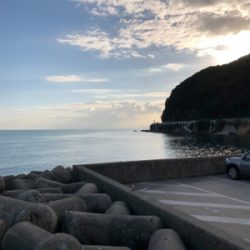 まだ釣れます！