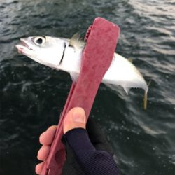 渋くてツライ(笑)