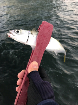 渋くてツライ(笑)