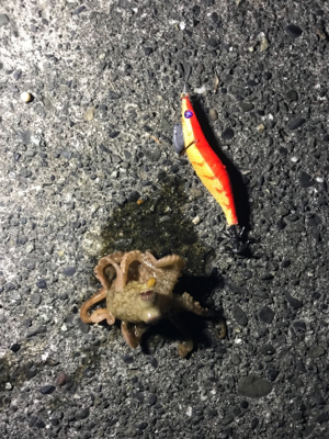 アオリチャレンジ失敗