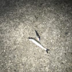 キリがない太刀乱舞！