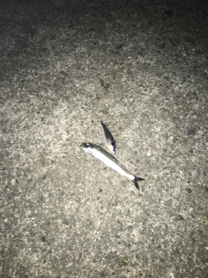 キリがない太刀乱舞！