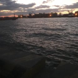 夕マズメ短時間