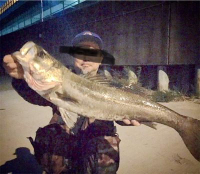 久しぶりにドブ川！