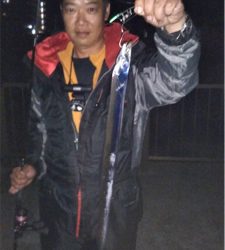 ワイワイ太刀魚ゲーム