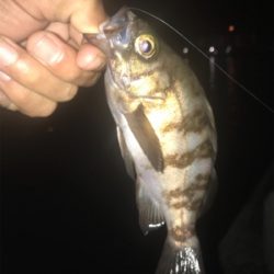 釣友会メンバーと