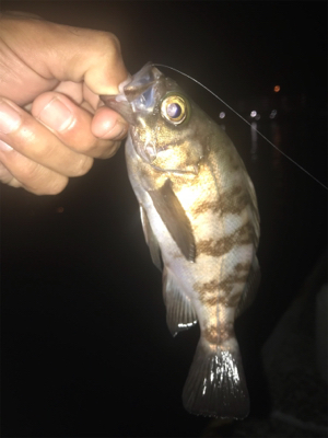 釣友会メンバーと