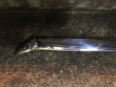 どうしても竿振りたくてσ^_^;